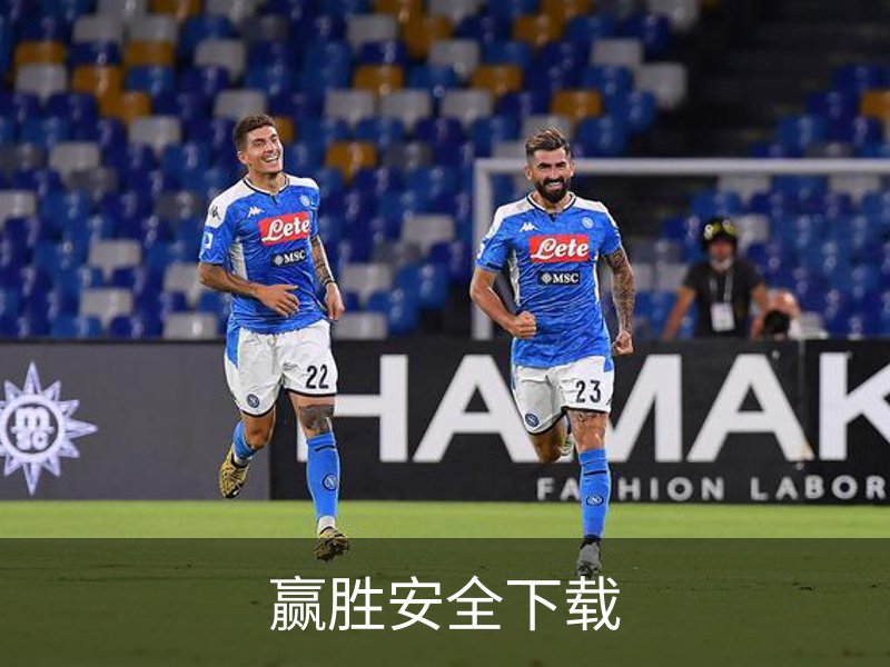 赢胜安全下载概况